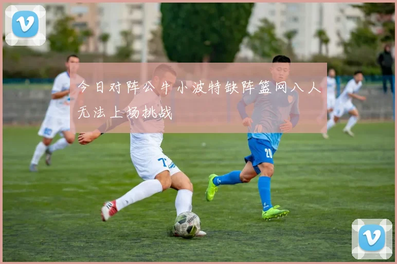 今日对阵公牛小波特缺阵篮网八人无法上场挑战